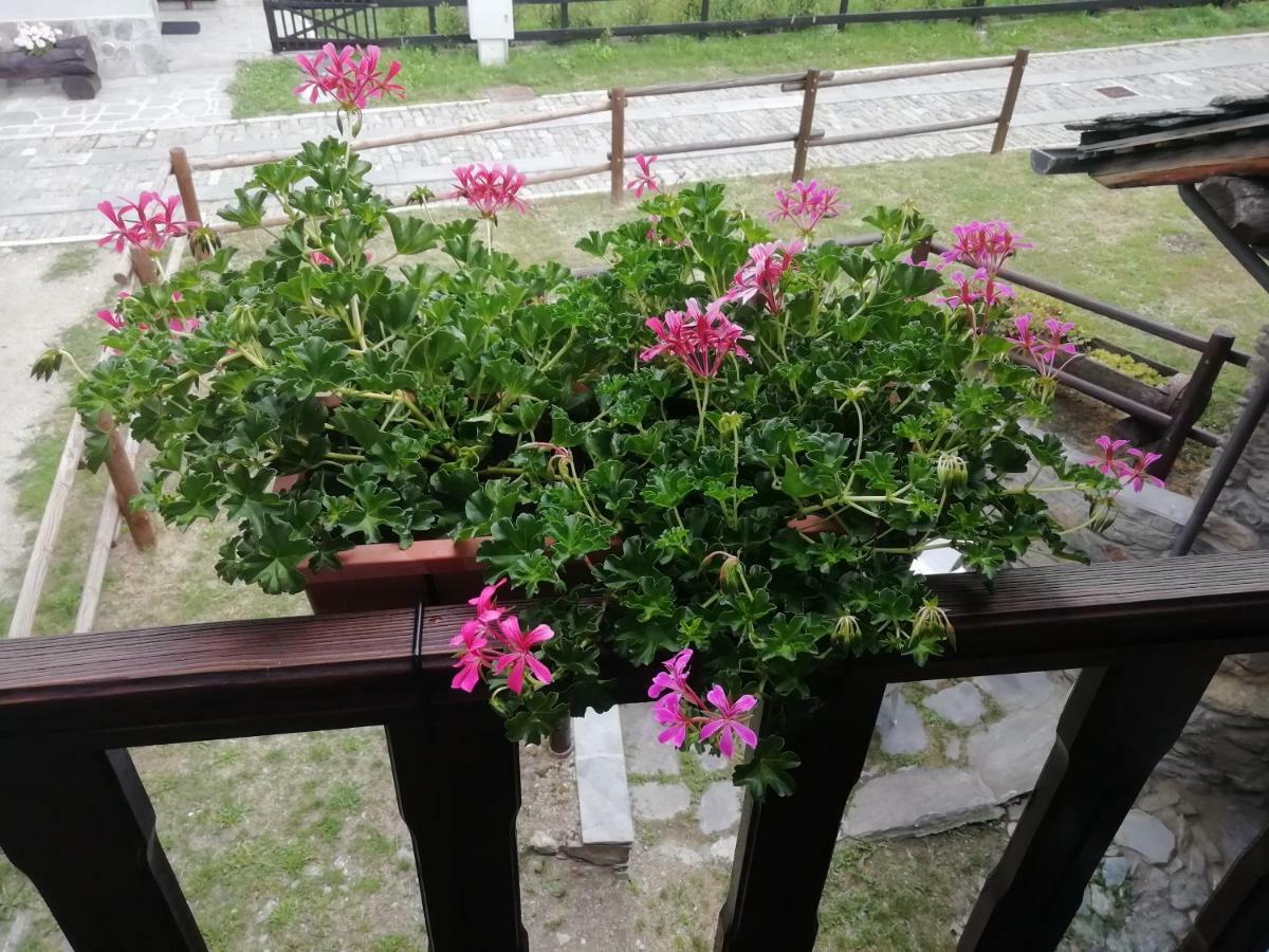Maison Cenne Vda Gressan N 0030 ภายนอก รูปภาพ